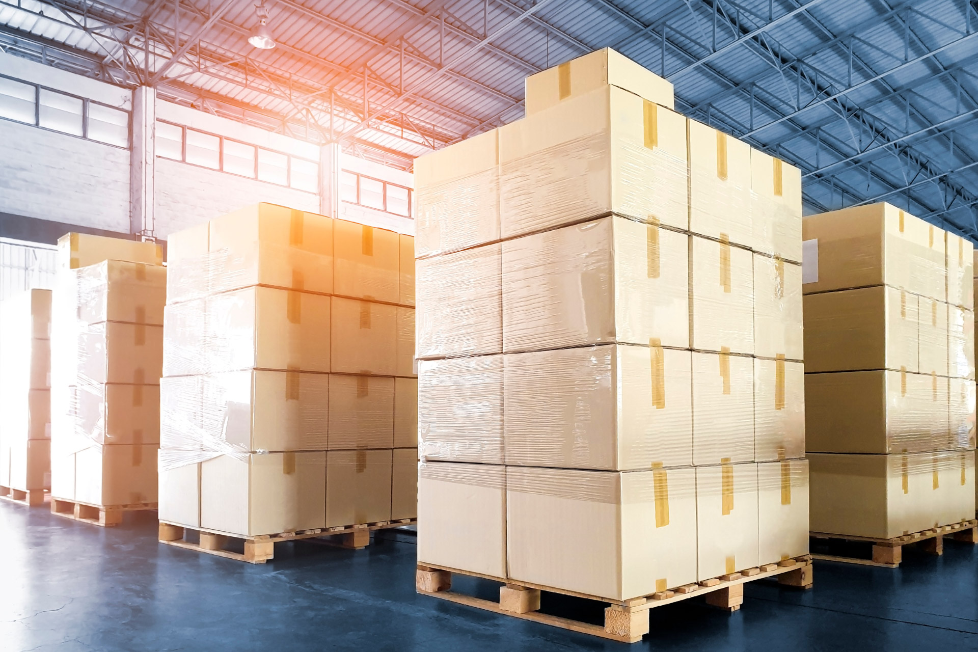 海外メーカー総代理店事業